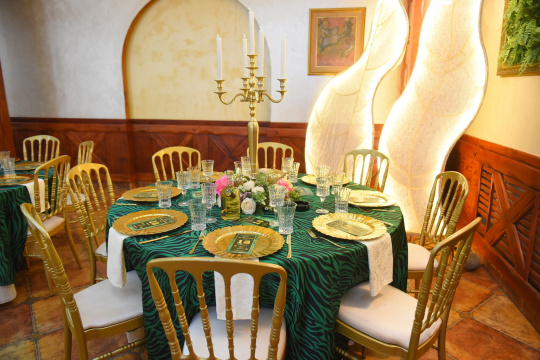 HOTEL I RESTORAN BALASEVIC — fotografija 49