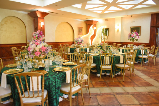 HOTEL I RESTORAN BALASEVIC — fotografija 45