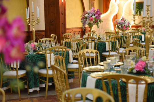 HOTEL I RESTORAN BALASEVIC — fotografija 44