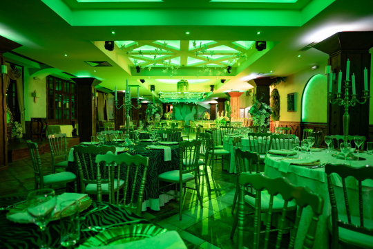 HOTEL I RESTORAN BALASEVIC — fotografija 28