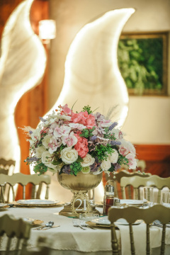 HOTEL I RESTORAN BALASEVIC — fotografija 25