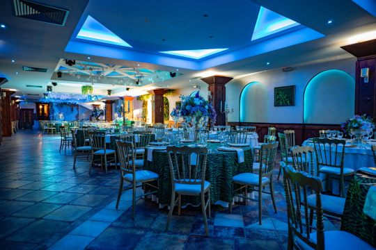 HOTEL I RESTORAN BALASEVIC — fotografija 24