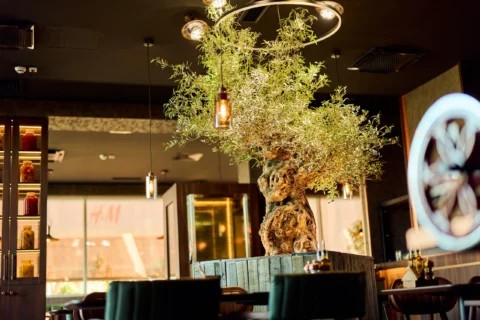 Osteria Olivia