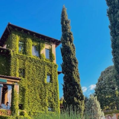 Restoran Vinogradi